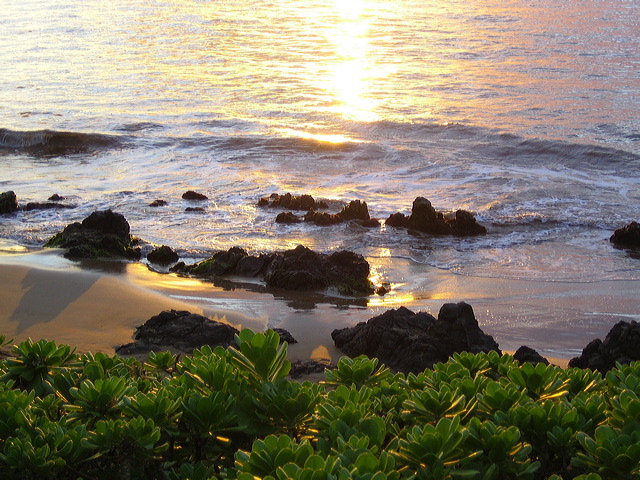 img_0055.jpg