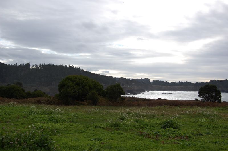 DSC_1461